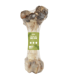 Bonez, Dino Bone, 18"