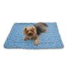 Ultra Soft Minky/Plush Blanket